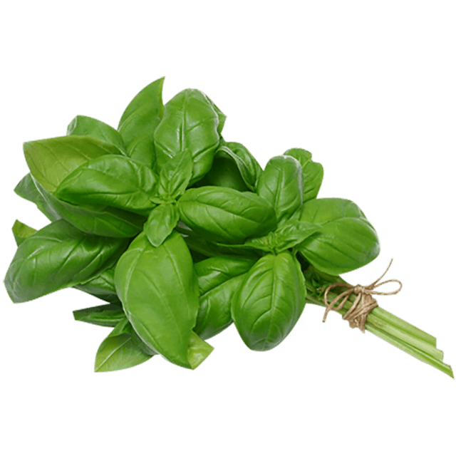 Basil
